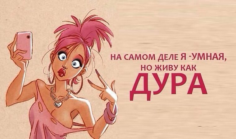 Прикол с картинкой дура, день рождения программисту