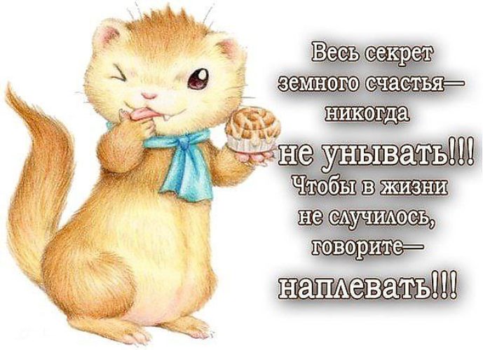 Не падай духом картинки с надписями