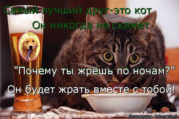 https://i4.tabor.ru/feed/2017-03-08/15779158/370932_760x500.jpg