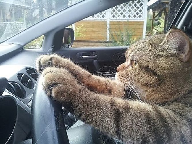 Едем на работу прикольные картинки