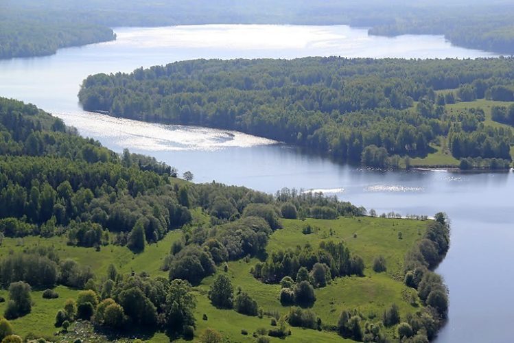 Озеро бросно в тверской области чудовище фото и описание