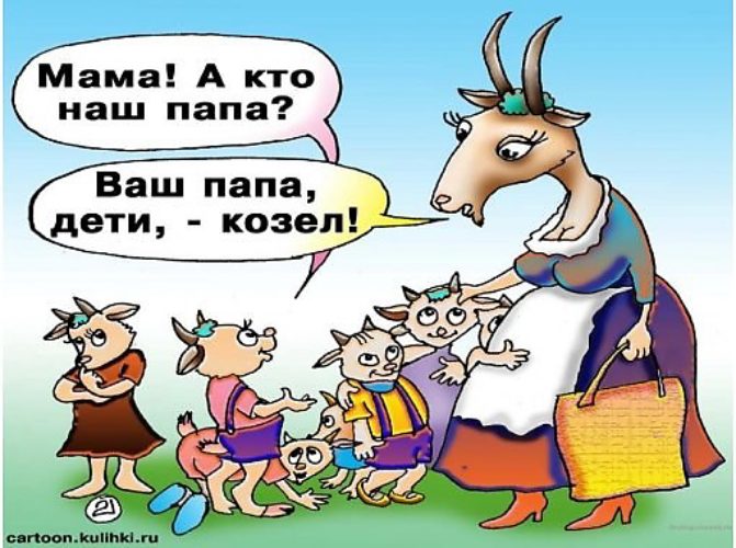 Открытки козел, для