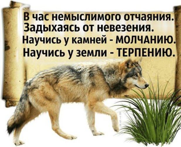 Нужные слова, если тяжело на душе - просто прочитай. | Осознанная реальность | Дзен