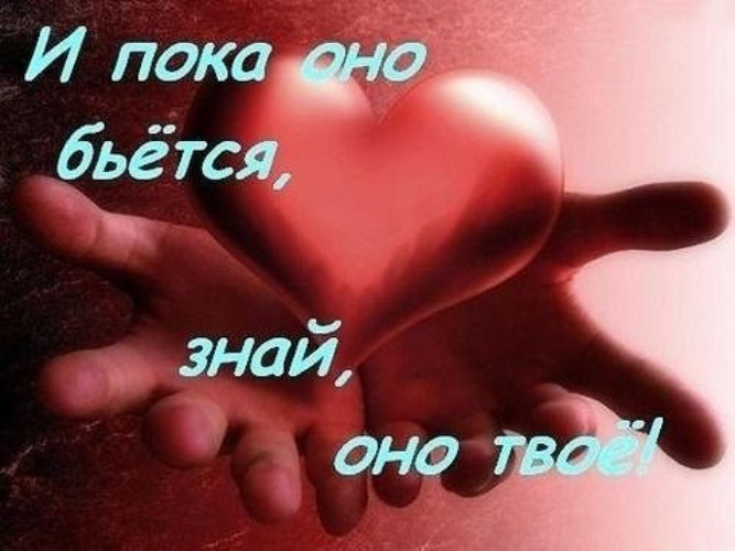 Ты Смысл Моей Жизни Любимый Картинки
