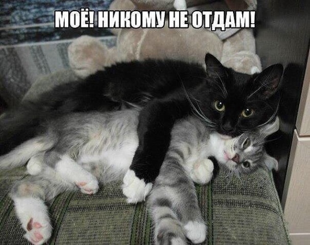 Никому его не отдам картинки с надписями