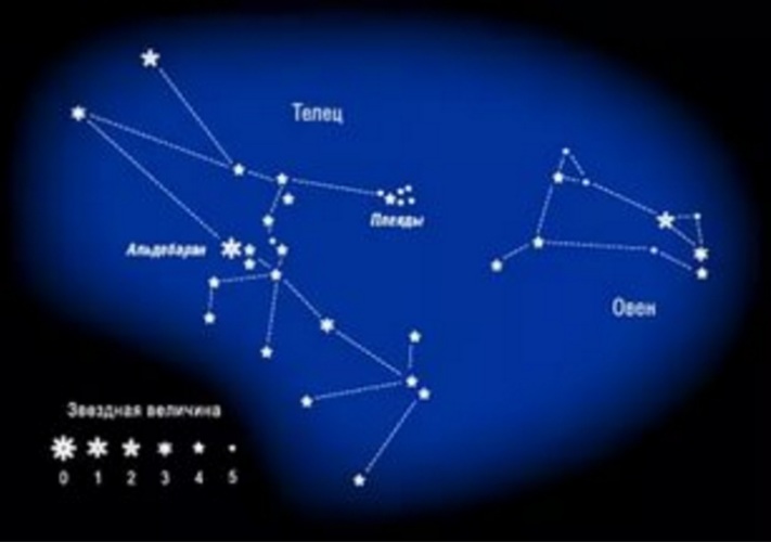Картинки по запросу овен знак зодиака | Zodiac signs, Aries weekly horoscope, Zodiac