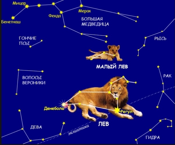 Как выглядит созвездие Лев и где находится