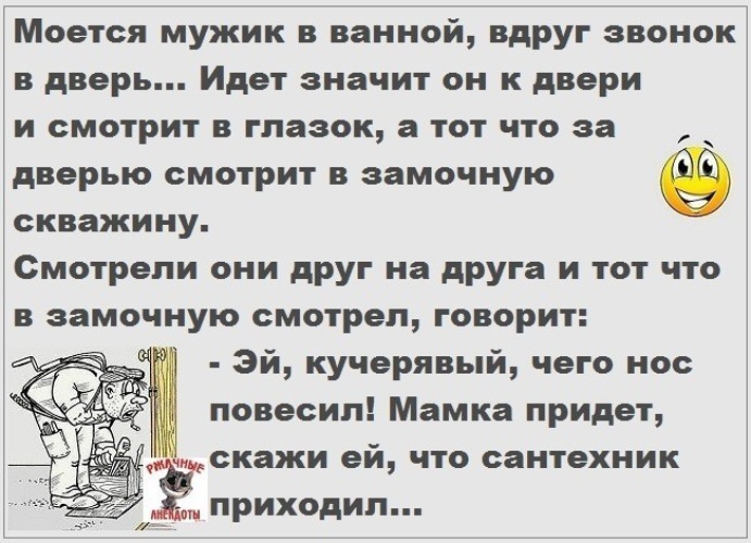 «Зачем коты приходят в ванну к хозяевам?» — Яндекс Кью