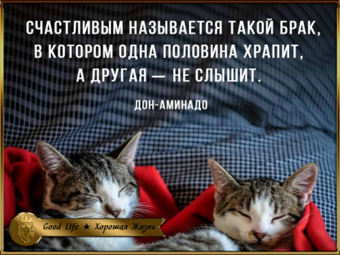 я видел разными твои. глаза влюбленной девушки. я видел разными твои. счастливый один храпит другой не слышит. любящие глаза.