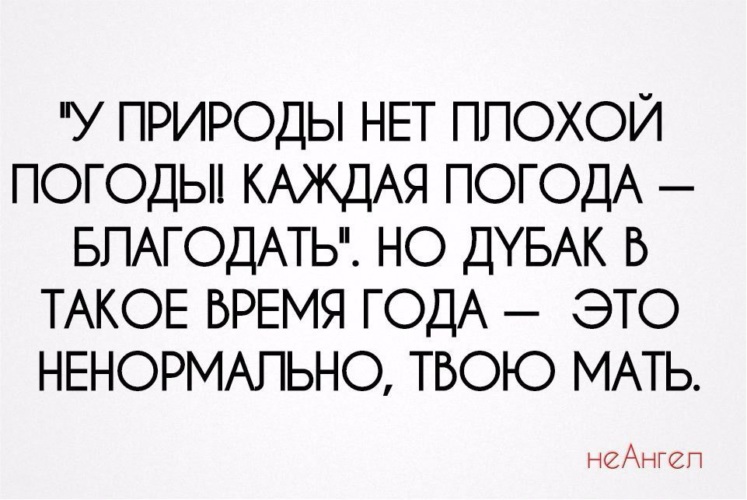 Всякая погода благодать картинки прикольные