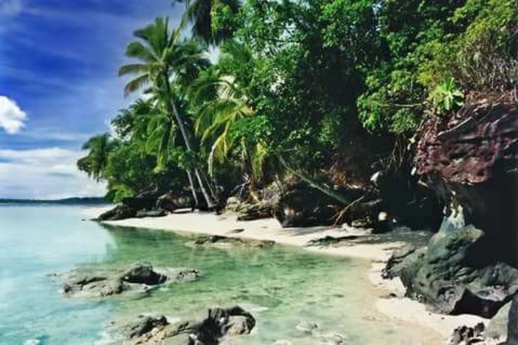 Робинзон Крузо: Приключения на таинственном острове