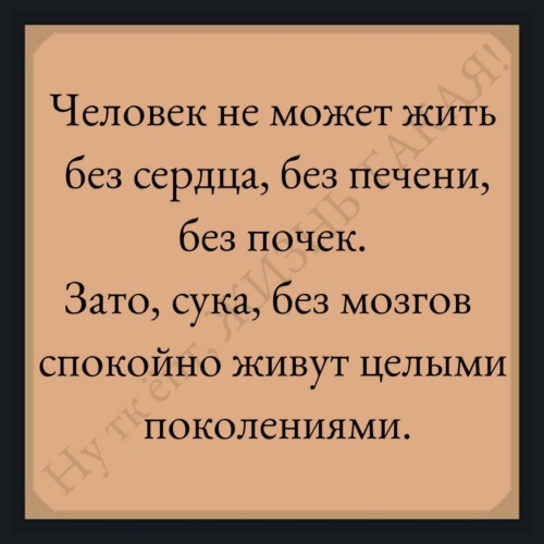 31 цитата, доказывающая, что вода — это любовь