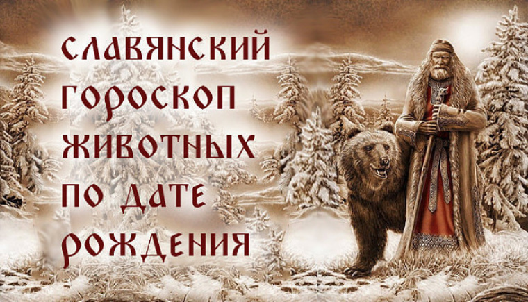 Славянский календарь духов на январь 2025 года Лента
