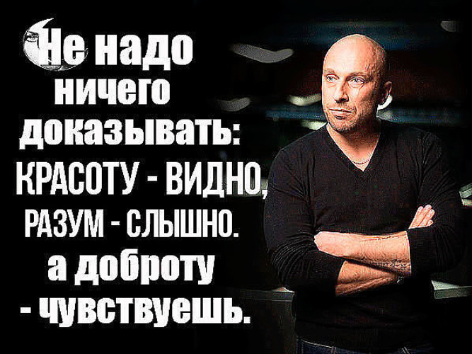 Доказательство цитаты. Не надо никому ничего доказывать. Не надо никому ничего доказывать цитаты. Никогда ничего не надо доказывать. Ничего не доказывай цитаты.