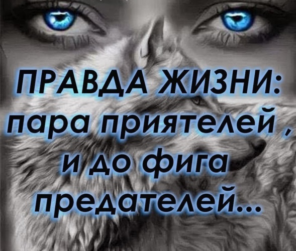 30 лучших цитат о мире, которые помогут почувствовать спокойствие и гармонию