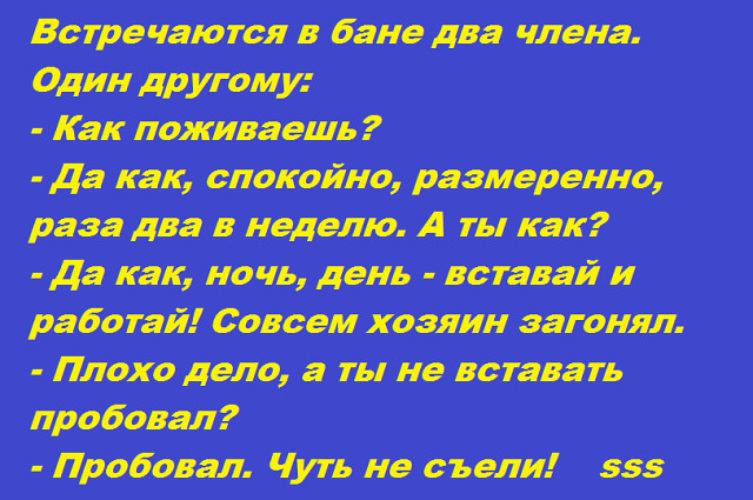 Сразу два члена во влагалище