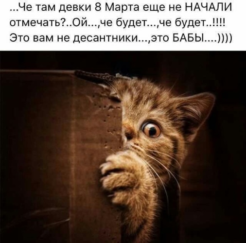 Размещенное изображение