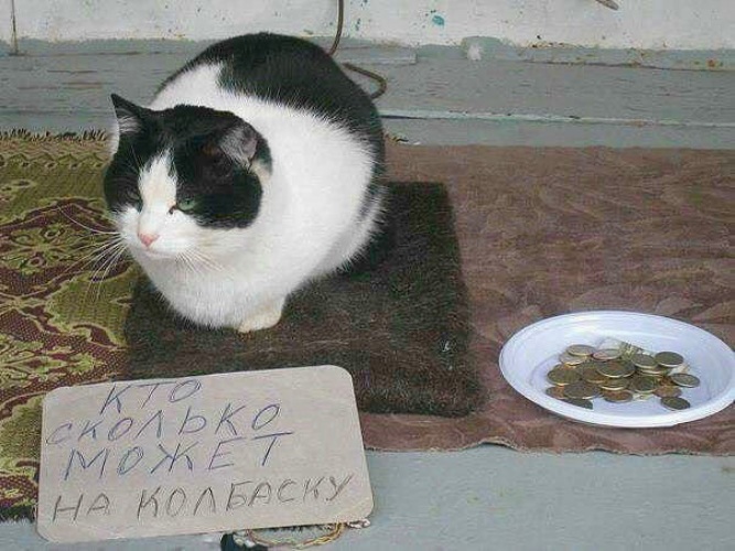 Пример базы контактов