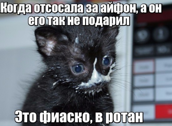 Терпят фиаско. Это фиаско мем. Терпят фиаско. Это фиаско братан мемы. Это фиаско братан.