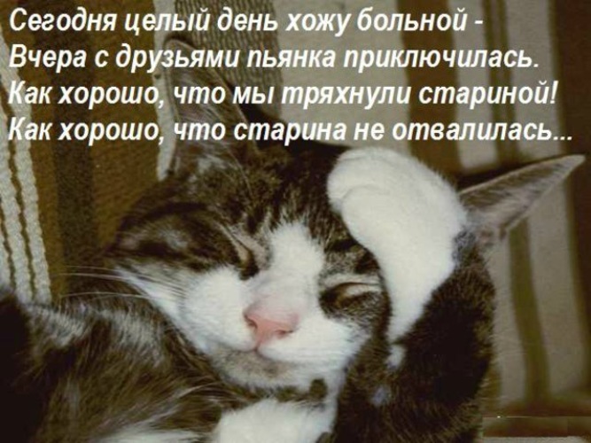 Фото Похмелье С Утра Прикольные Девушке Фото Похмелье С Утра Прикольные Девушке