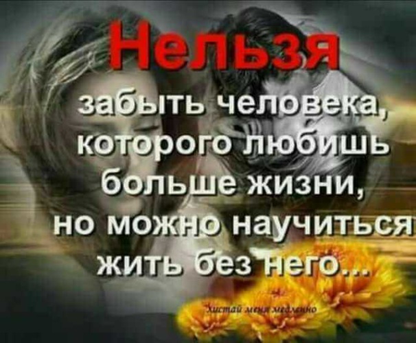 15 цитат из романа «Гордость и предубеждение» Джейн Остен | Онлайн-журнал Эксмо