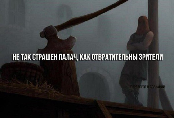 Забавные животные с надписями. А вот так страшно. А вот так страшно. Не заладилось. Котенок уходит.