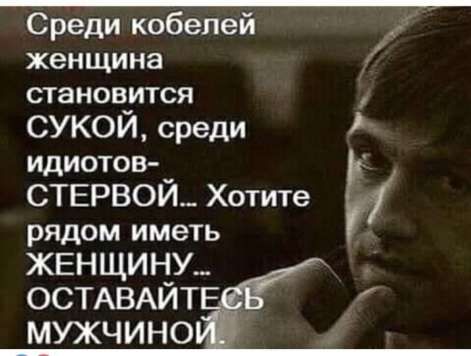 Статусы про идиотов мужчин