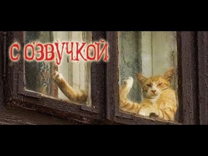 Доми шоу кот мурзик и хозяин картинки