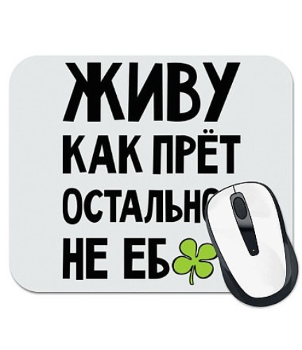 Смешные Фото Для Ватсапа С Надписью