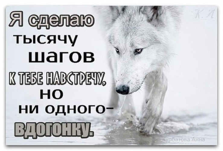 Сделай тысяч. Я сделаю тысячу шагов. Я сделаю тысячу шагов навстречу но ни. Шаг навстречу но не вдогонку. Когда найдёшь то что так долго искал судьба.