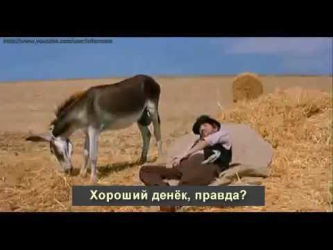 Мужик осла видео