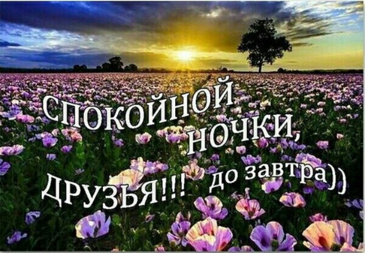 Красивые открытки для друзей спокойной ночи, фото-зима