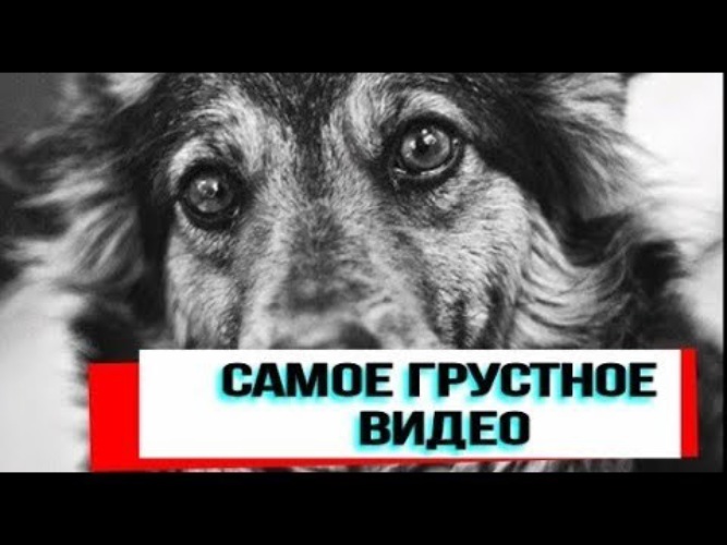 Стоял Он Очень Тихо У Подъезда Не Отходя От Запертых Дверей