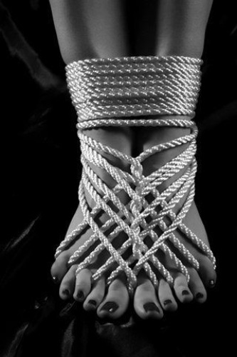 Шибари или кинбаку? – Shibari