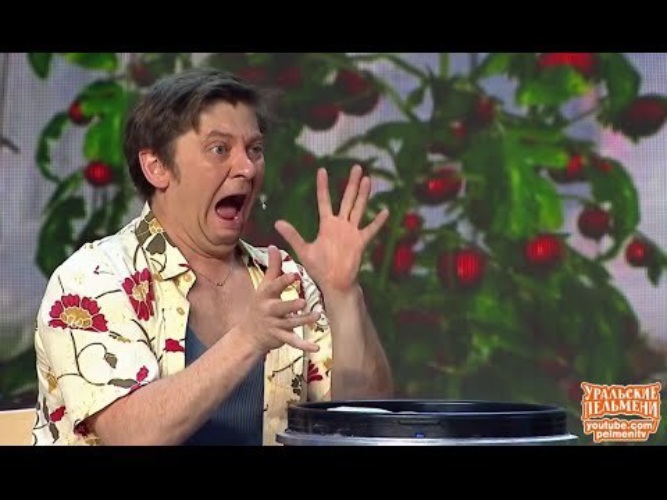 Пельмени три палатки. Ваше огородие пельмени. Уральские пельмени 2016. Уральские пельмени ваше огородие. Уральские пельмени теплица.