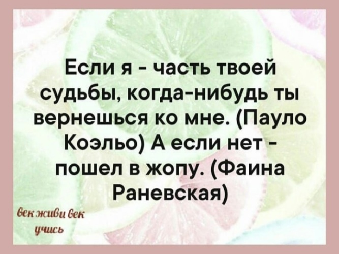 Панорама: Павловский лимон, садовый центр, ул. Романтиков, 16, Павлово — Яндекс Карты