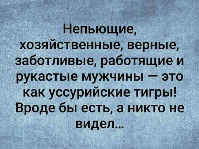 120+ идей, что подарить мужу на 50 лет