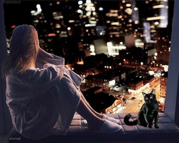 В твоем городе полночь. Девушка в ночном городе. Девушка и ночь. Девушка сидит у окна ночью. Девушка с кошкой у окна.