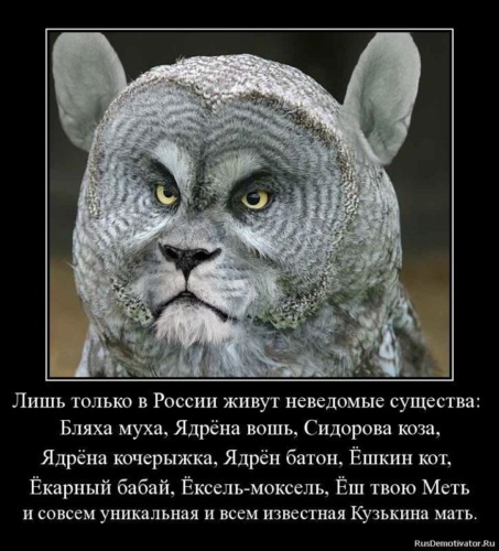 Откуда приползла Ядрена вошь и зачем зовут Ёкарного Бабая? 5 забавных исконно-посконных ругательств