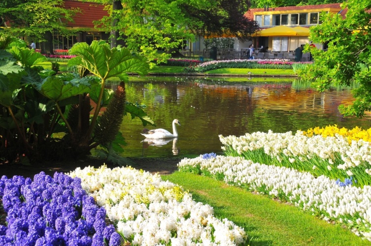 Нидерланды весенний парк Keukenhof