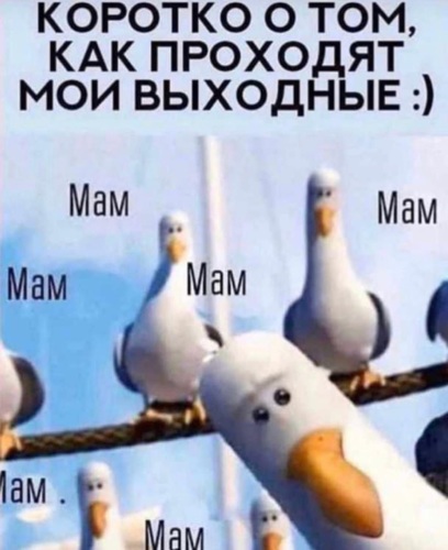 Как не выходной так новый парнишка в сетях Как не выходной так новый парнишка в сетях