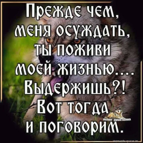 Герань упала | Смешные детские цитаты, Смешные цитаты про детей, Самые смешные цитаты