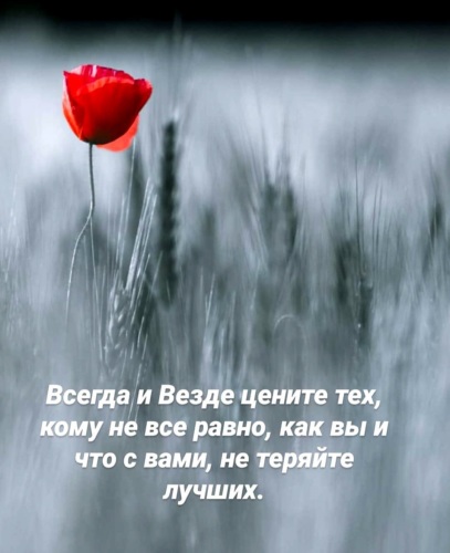 Статусы про дружбу и друзей для социальных сетей: более 50 высказываний