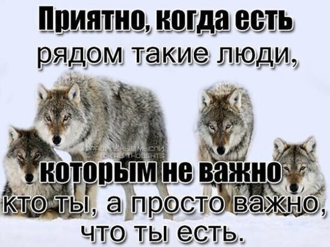 Мы бисексуалки и любим когда нас трахают и не важно кто