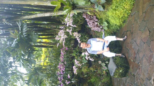 парк орхидей