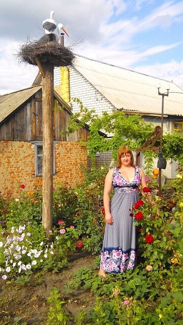 Фото - Tabor.ru