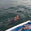 Знакомства: Driver, 41 год, Пинск