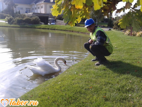 Фото - Tabor.ru